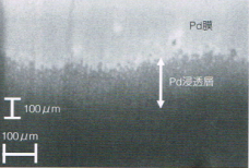 pa浸透層の確認オゾン120分